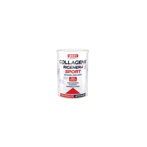 Why sport collagene rigenera sport 336gr
