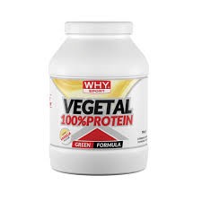 Why sport 100% vegetal protein vaniglia 750 gr